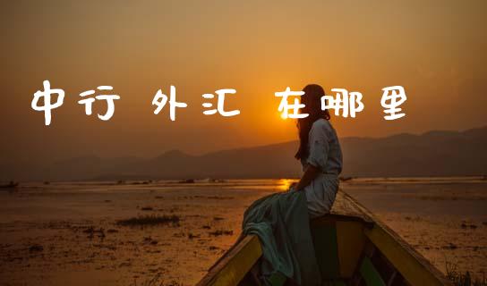 中行 外汇 在哪里_https://m.jnlaobingbanjia.com_基金市场_第1张