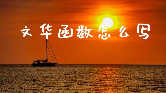 文华函数怎么写_https://m.jnlaobingbanjia.com_区块链_第1张