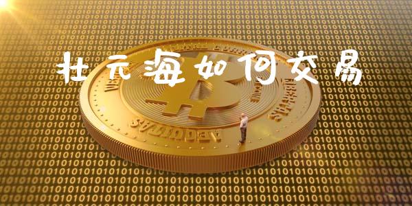 壮元海如何交易_https://m.jnlaobingbanjia.com_全球市场_第1张