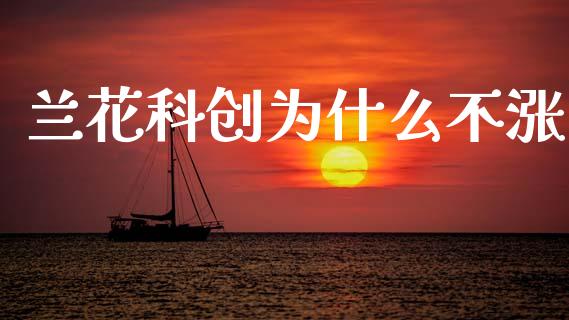 兰花科创为什么不涨_https://m.jnlaobingbanjia.com_股市新闻_第1张
