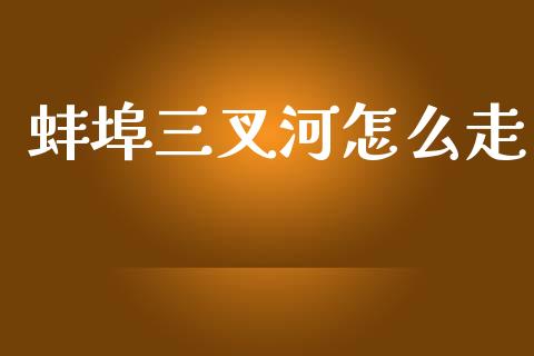 蚌埠三叉河怎么走_https://m.jnlaobingbanjia.com_股市新闻_第1张