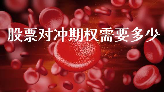 股票对冲期权需要多少_https://m.jnlaobingbanjia.com_金融监管_第1张