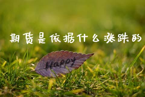期货是依据什么涨跌的_https://m.jnlaobingbanjia.com_全球市场_第1张