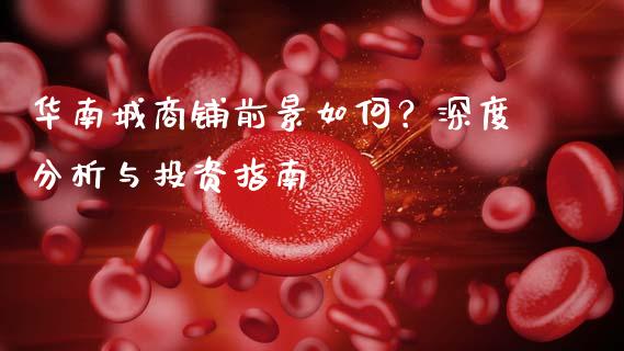 华南城商铺前景如何？深度分析与投资指南_https://m.jnlaobingbanjia.com_区块链_第1张