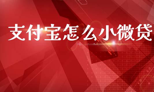 支付宝怎么小微贷_https://m.jnlaobingbanjia.com_基金市场_第1张