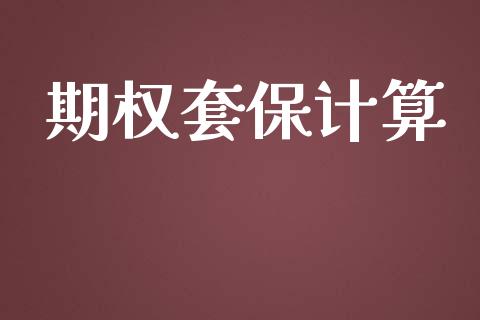 期权套保计算_https://m.jnlaobingbanjia.com_理财规划_第1张