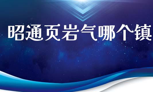 昭通页岩气哪个镇_https://m.jnlaobingbanjia.com_基金市场_第1张