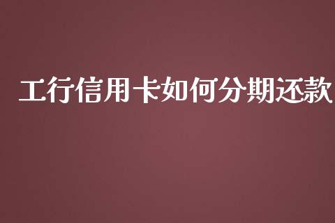 工行信用卡如何分期还款_https://m.jnlaobingbanjia.com_基金市场_第1张