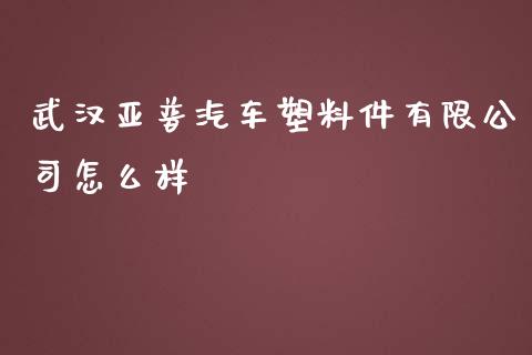 武汉亚普汽车塑料件有限公司怎么样_https://m.jnlaobingbanjia.com_金融监管_第1张
