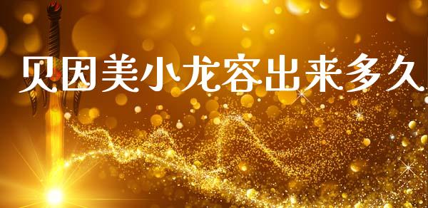 贝因美小龙容出来多久_https://m.jnlaobingbanjia.com_基金市场_第1张