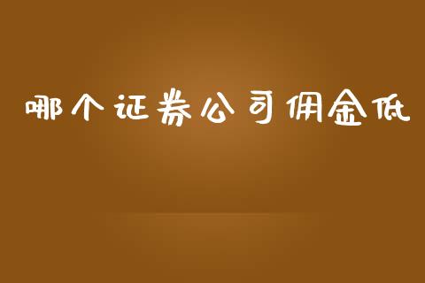 哪个证券公司佣金低_https://m.jnlaobingbanjia.com_股市新闻_第1张