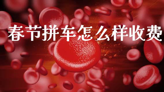 春节拼车怎么样收费_https://m.jnlaobingbanjia.com_全球市场_第1张