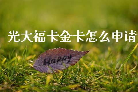 光大福卡金卡怎么申请_https://m.jnlaobingbanjia.com_金融监管_第1张