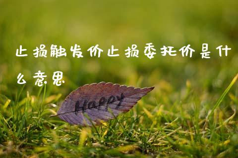 止损触发价止损委托价是什么意思_https://m.jnlaobingbanjia.com_股市新闻_第1张