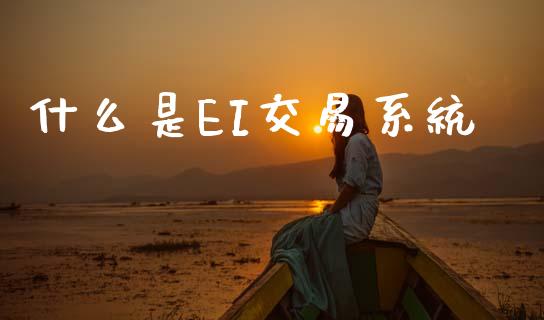 什么是EI交易系统_https://m.jnlaobingbanjia.com_股市新闻_第1张