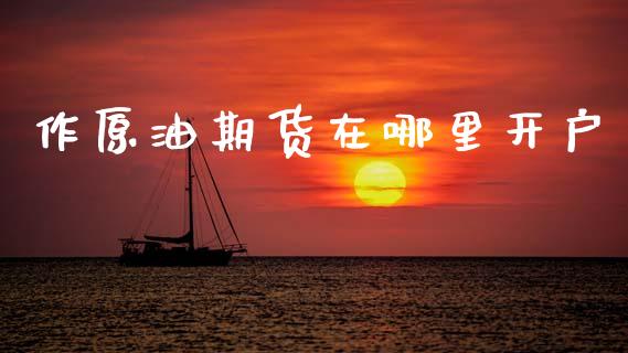 作原油期货在哪里开户_https://m.jnlaobingbanjia.com_金融监管_第1张