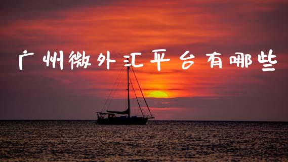 广州微外汇平台有哪些_https://m.jnlaobingbanjia.com_全球市场_第1张