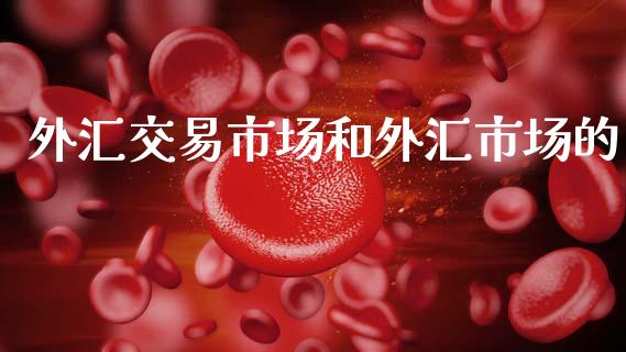 外汇交易市场和外汇市场的_https://m.jnlaobingbanjia.com_金融监管_第1张