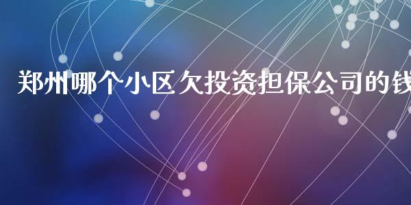 郑州哪个小区欠投资担保公司的钱_https://m.jnlaobingbanjia.com_金融监管_第1张