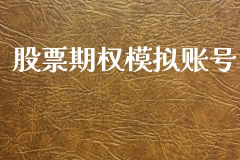 股票期权模拟账号_https://m.jnlaobingbanjia.com_股市新闻_第1张