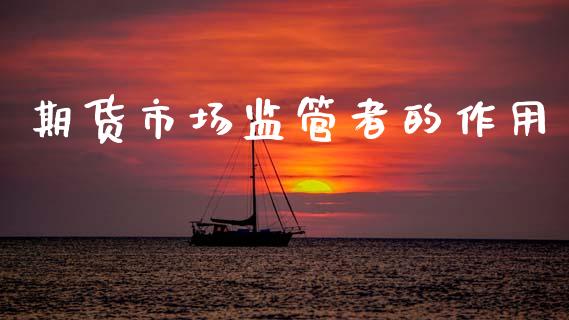 期货市场监管者的作用_https://m.jnlaobingbanjia.com_全球市场_第1张