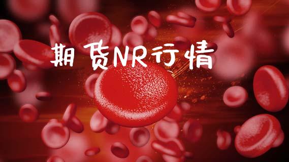 期货NR行情_https://m.jnlaobingbanjia.com_理财规划_第1张