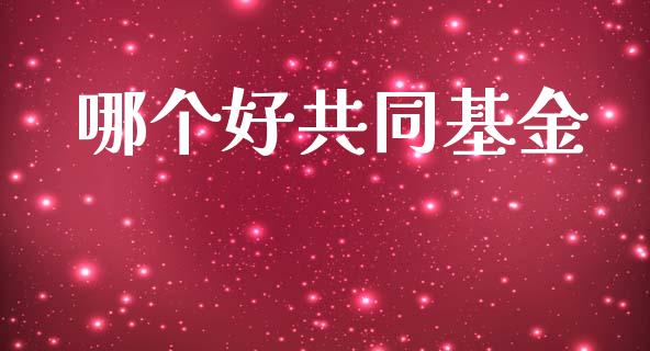 哪个好共同基金_https://m.jnlaobingbanjia.com_理财规划_第1张