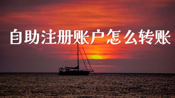 自助注册账户怎么转账_https://m.jnlaobingbanjia.com_区块链_第1张