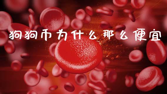 狗狗币为什么那么便宜_https://m.jnlaobingbanjia.com_金融监管_第1张