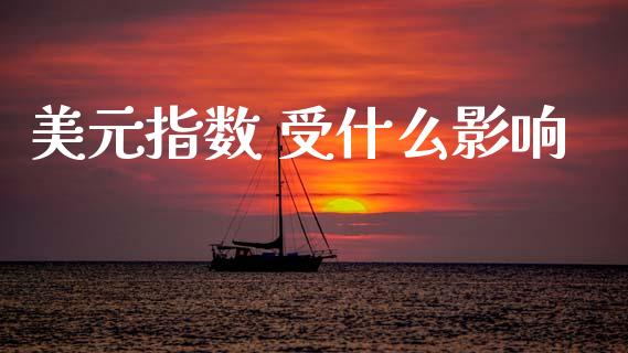 美元指数 受什么影响_https://m.jnlaobingbanjia.com_全球市场_第1张