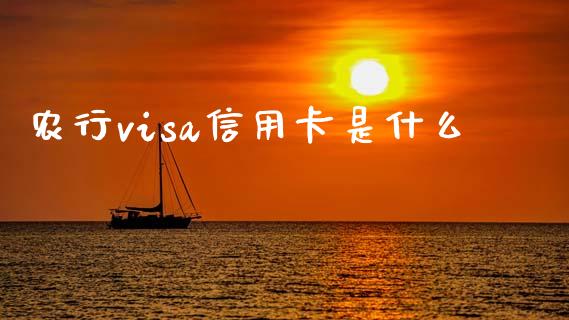 农行visa信用卡是什么_https://m.jnlaobingbanjia.com_金融监管_第1张