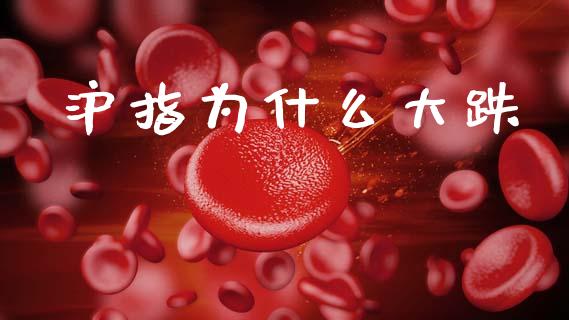 沪指为什么大跌_https://m.jnlaobingbanjia.com_基金市场_第1张