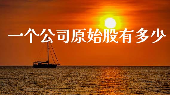 一个公司原始股有多少_https://m.jnlaobingbanjia.com_理财规划_第1张