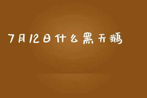 7月12日什么黑天鹅_https://m.jnlaobingbanjia.com_股市新闻_第1张
