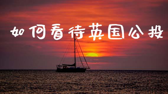 如何看待英国公投_https://m.jnlaobingbanjia.com_股市新闻_第1张