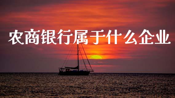 农商银行属于什么企业_https://m.jnlaobingbanjia.com_金融监管_第1张