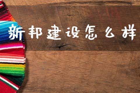 新邦建设怎么样_https://m.jnlaobingbanjia.com_理财规划_第1张