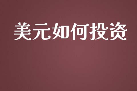 美元如何投资_https://m.jnlaobingbanjia.com_金融监管_第1张