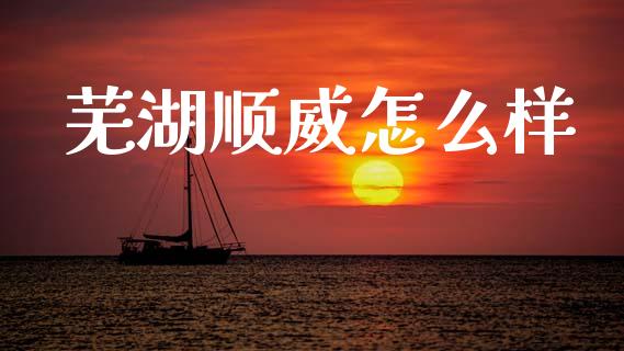 芜湖顺威怎么样_https://m.jnlaobingbanjia.com_全球市场_第1张