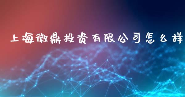 上海徽鼎投资有限公司怎么样_https://m.jnlaobingbanjia.com_基金市场_第1张