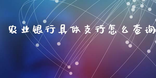 农业银行具体支行怎么查询_https://m.jnlaobingbanjia.com_股市新闻_第1张