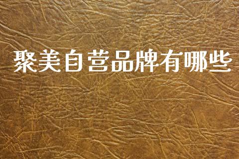 聚美自营品牌有哪些_https://m.jnlaobingbanjia.com_理财规划_第1张