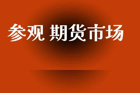 参观 期货市场_https://m.jnlaobingbanjia.com_股市新闻_第1张