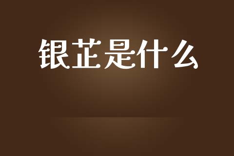 银芷是什么_https://m.jnlaobingbanjia.com_理财规划_第1张