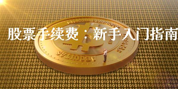 股票手续费：新手入门指南_https://m.jnlaobingbanjia.com_全球市场_第1张