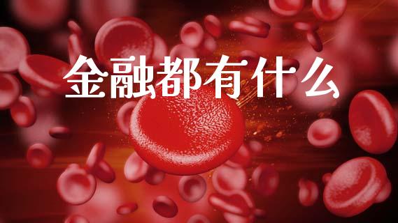 金融都有什么_https://m.jnlaobingbanjia.com_区块链_第1张