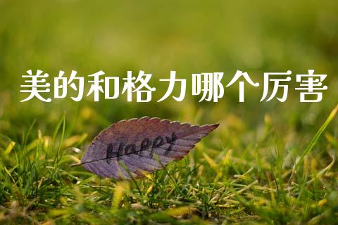 美的和格力哪个厉害_https://m.jnlaobingbanjia.com_股市新闻_第1张