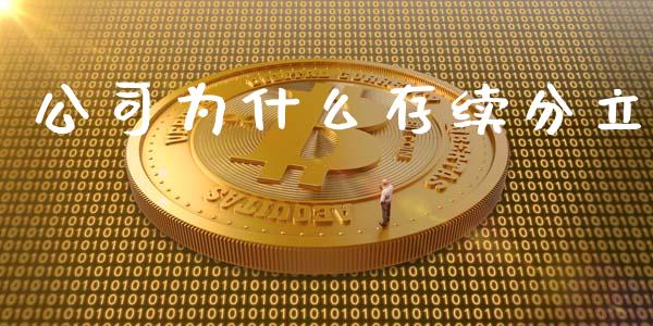 公司为什么存续分立_https://m.jnlaobingbanjia.com_金融监管_第1张