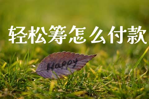 轻松筹怎么付款_https://m.jnlaobingbanjia.com_区块链_第1张