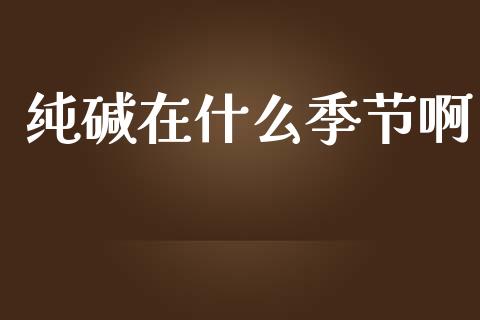 纯碱在什么季节啊_https://m.jnlaobingbanjia.com_全球市场_第1张